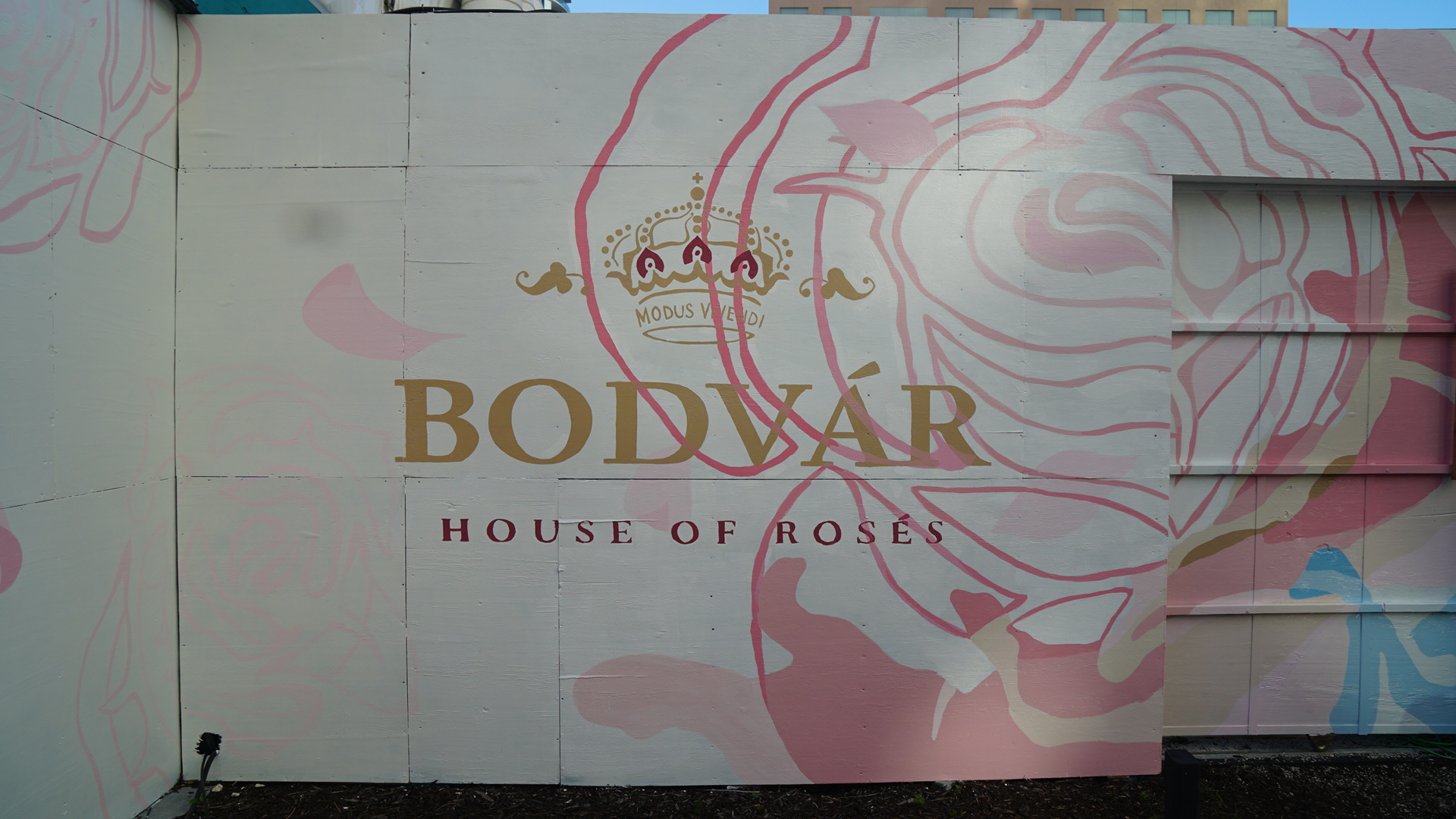 Rose All Day — Riverside Miami